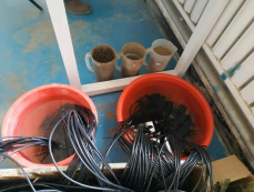 1614923507390421.png 微信截圖_20210305135152.png