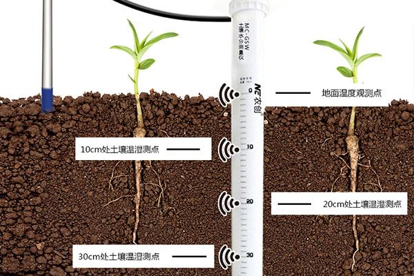 管式土壤溫度傳感器圖片 管式土壤溫度傳感器圖片