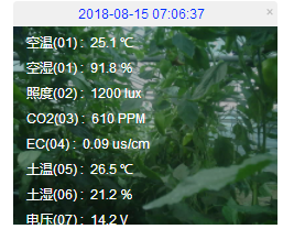 1634176795787952.png 圖片29.png