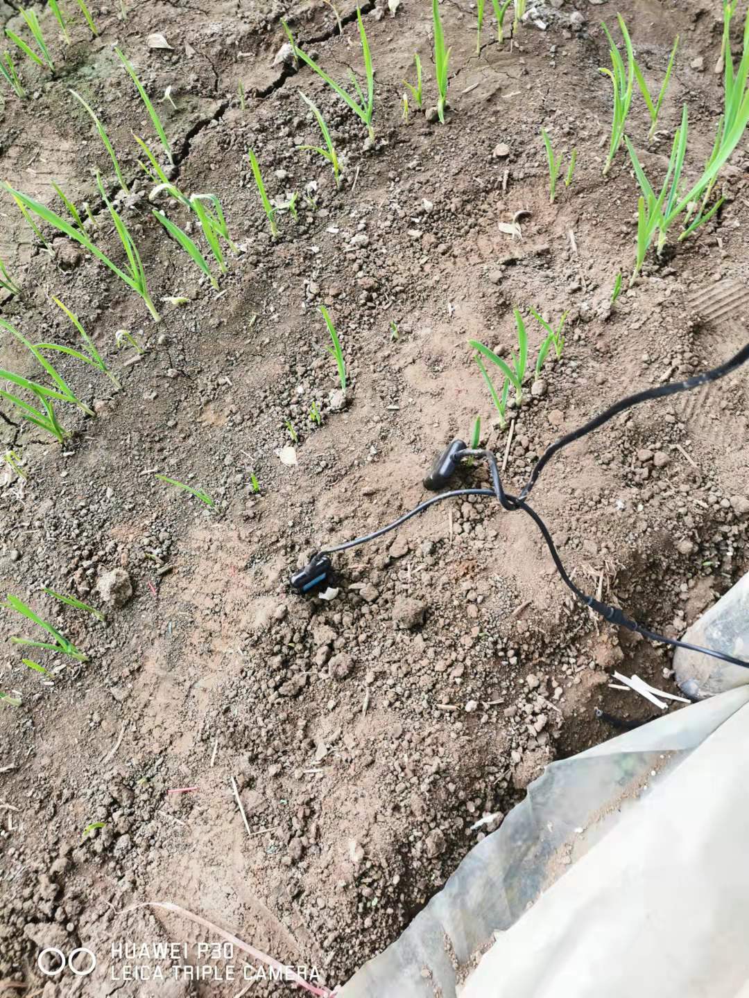 1635304081989602.jpg e830665d2ddbf5919ab8b6980e54087.jpg