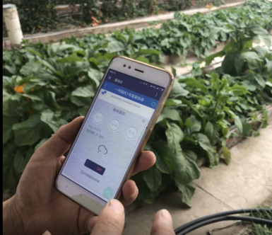 1636080737825418.png 圖片44.png