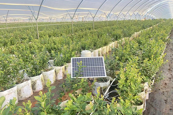 設(shè)施大棚氣象觀測站圖片3 設(shè)施大棚氣象觀測站圖片3