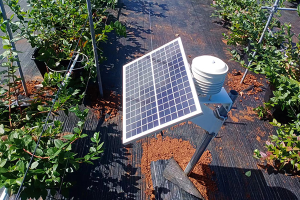 自動(dòng)型氣象站圖片2 自動(dòng)型氣象站圖片2