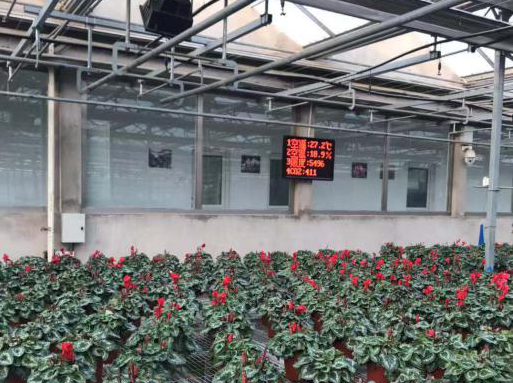 溫室智能大棚控制系統(tǒng)圖片2 溫室智能大棚控制系統(tǒng)圖片2