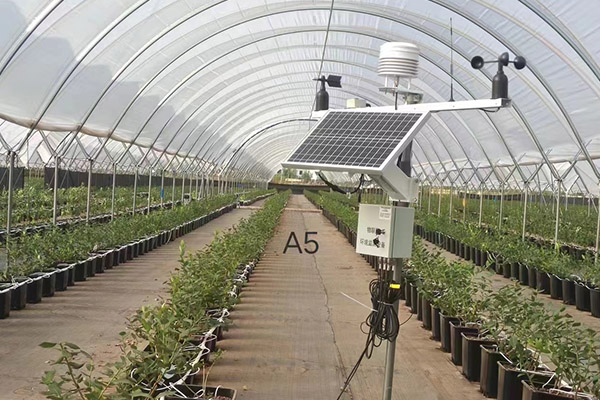 六要素農(nóng)業(yè)氣象站圖片3 六要素農(nóng)業(yè)氣象站圖片3