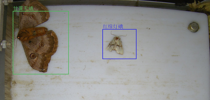 1709185963335064.png 1709185963335064.png