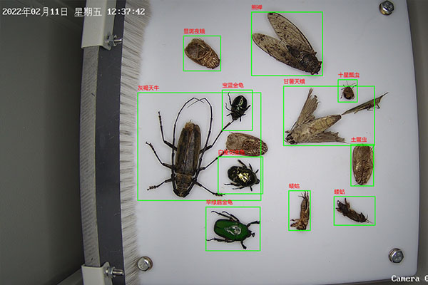 自動(dòng)蟲(chóng)情測(cè)報(bào)燈圖片6 自動(dòng)蟲(chóng)情測(cè)報(bào)燈圖片6