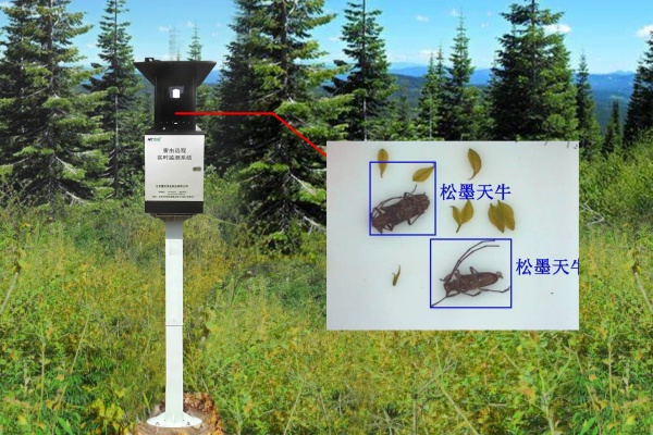 天牛監(jiān)測(cè)設(shè)備圖片2