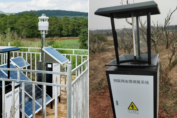 蟲情測報燈圖片2