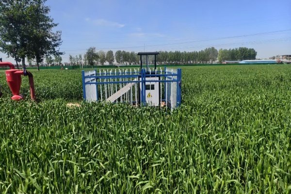 蟲情測報燈圖片2 蟲情測報燈圖片2