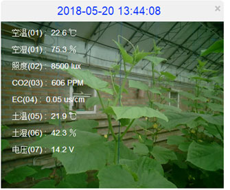 環(huán)境監(jiān)測站圖片6 環(huán)境監(jiān)測站圖片6